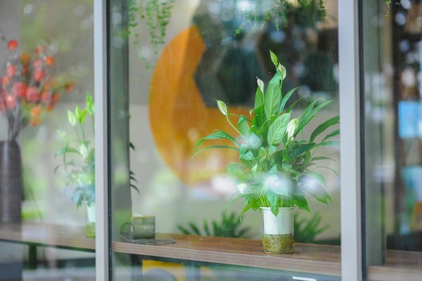 10 livres que vous devriez lire avant de voyager au Japon